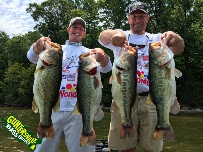 28lbs June 25th