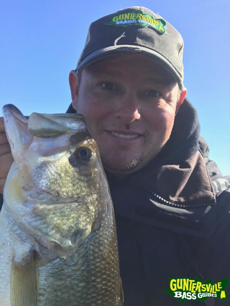 GUNTERSVILLE BASS GUIDES