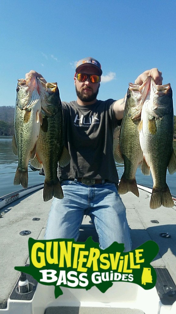 Lake Guntersville Fishing Report