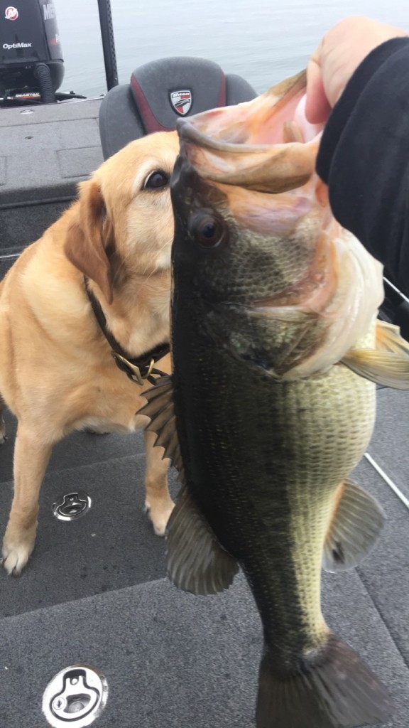 Guntersville Bass Guides