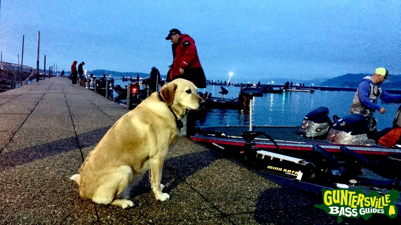 Guntersville Bass Guides