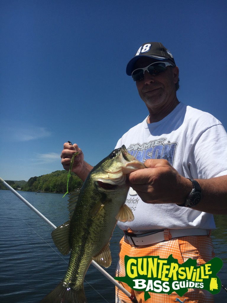 Guntersville Bass Guides