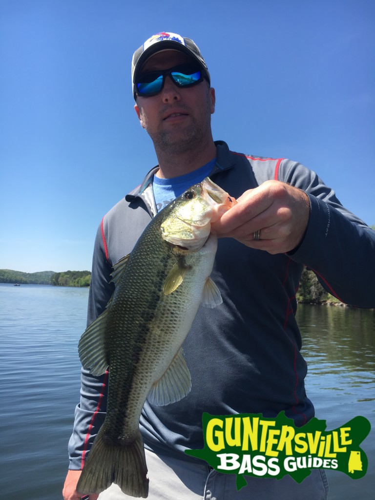 Guntersville Bass Guides
