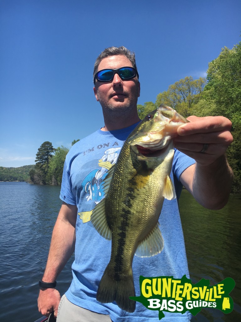 Guntersville Bass Guides