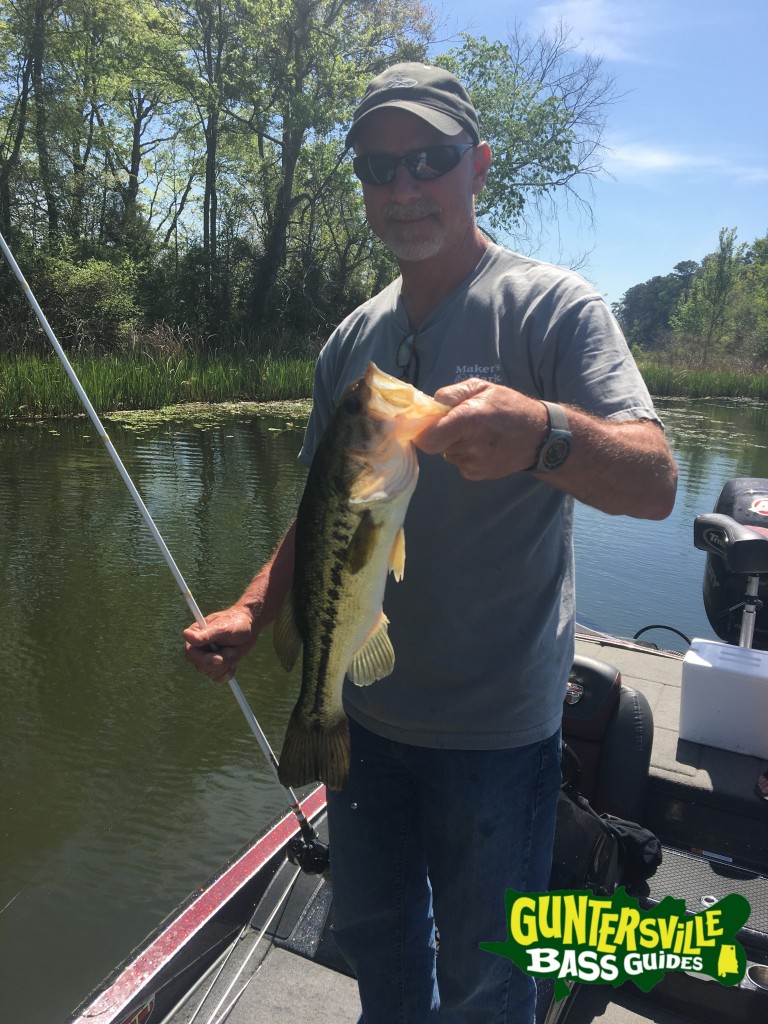Lake Guntersville Fishing Report April 18th