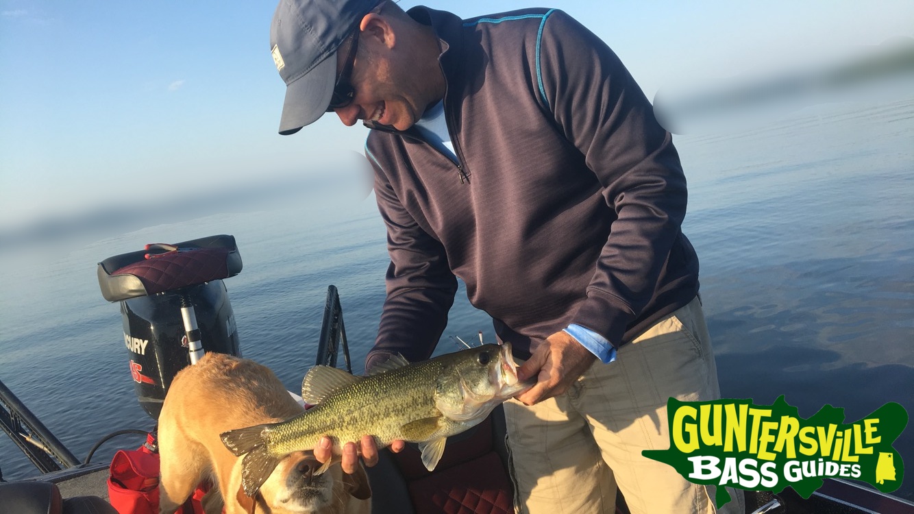 GUNTERSVILLE BASS GUIDES