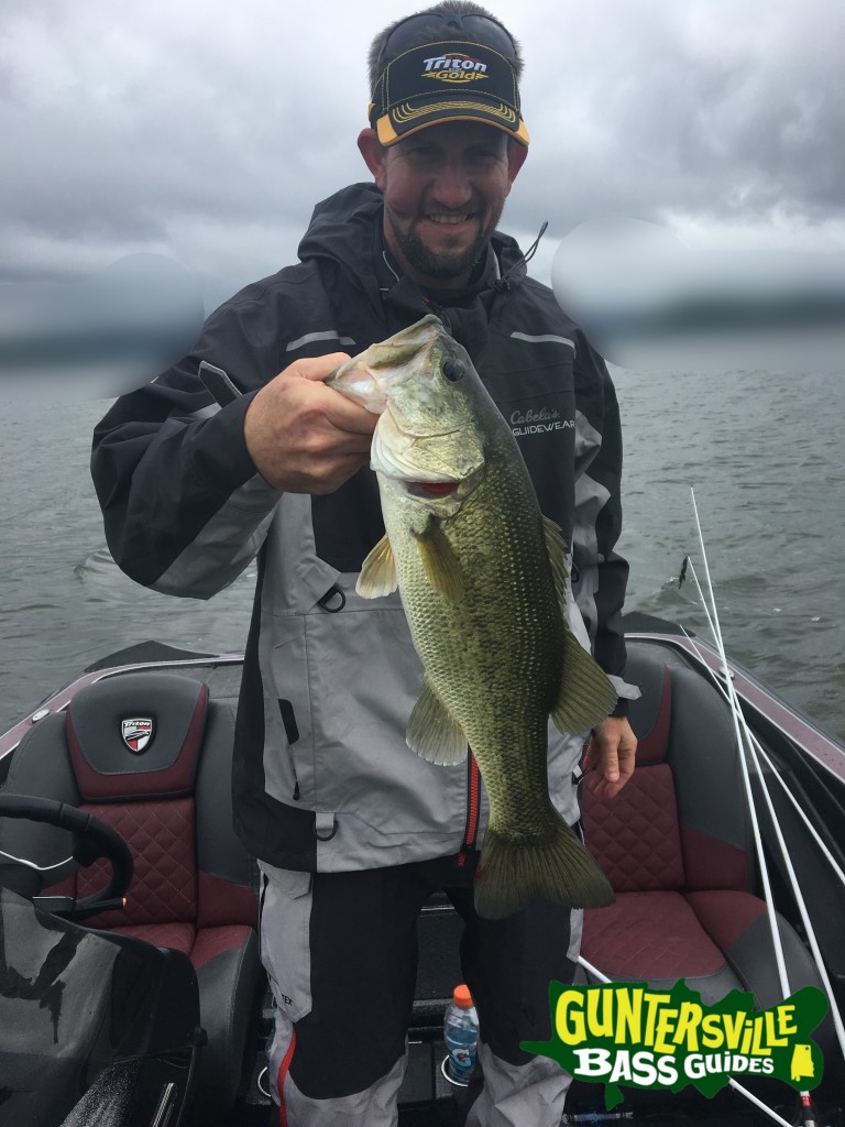 GUNTERSVILLE BASS GUIDES