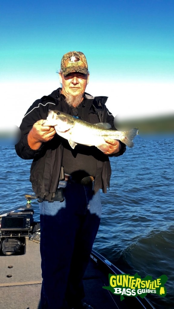 Guntersville Bass Guides
