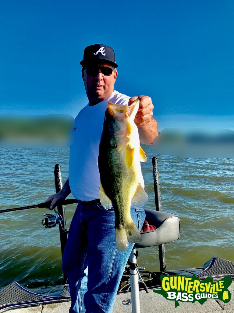 Guntersville Bass Guides