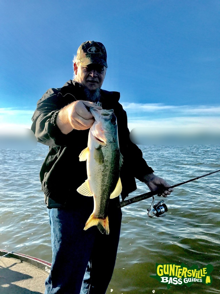 Guntersville Bass Guides