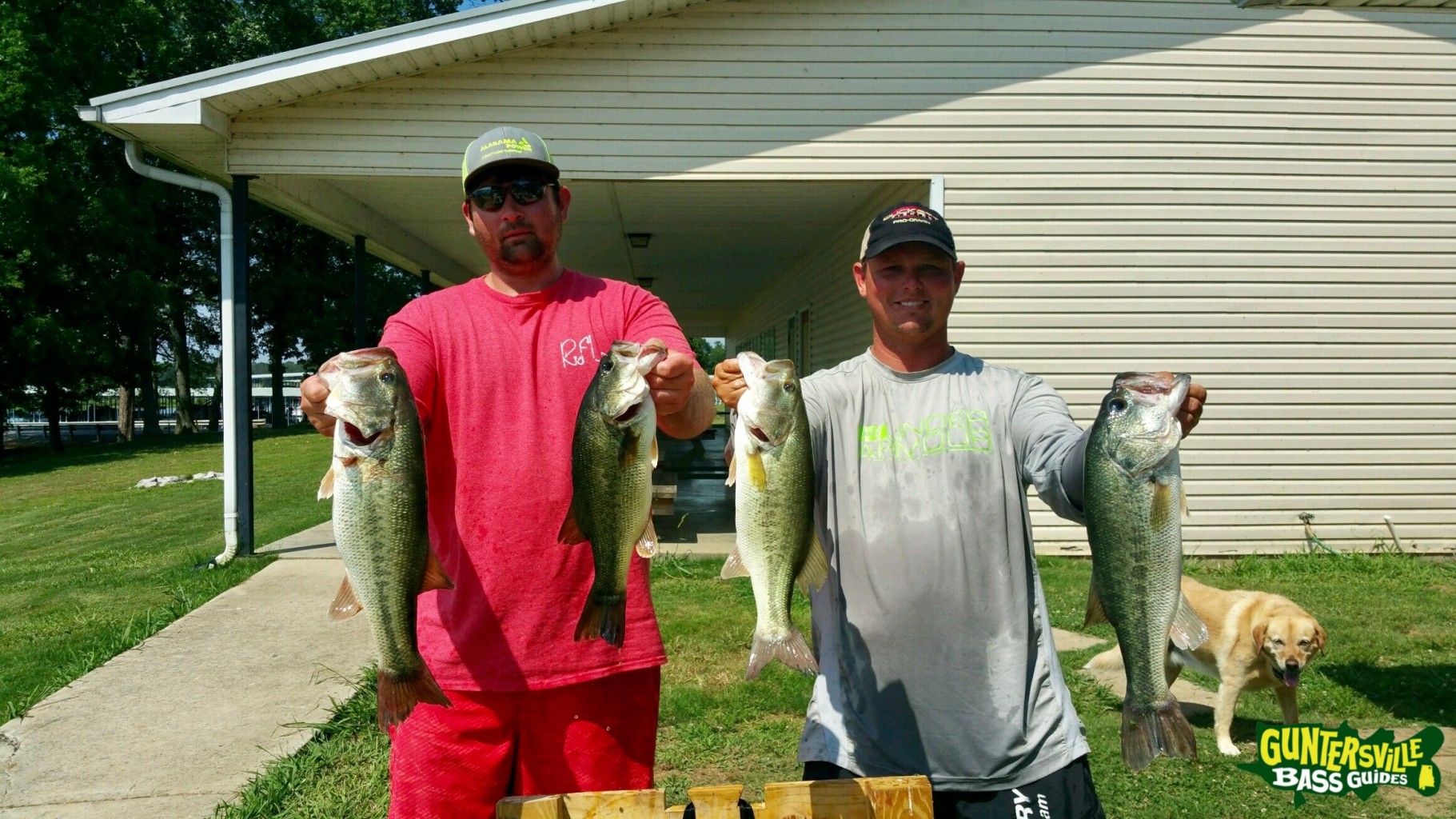 Guntersville Bass Guides