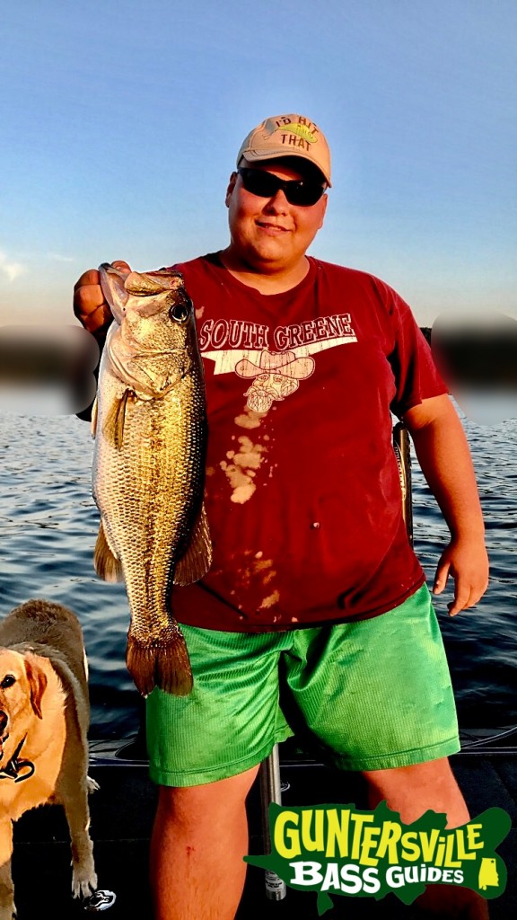 Guntersville Bass Fishing Guides