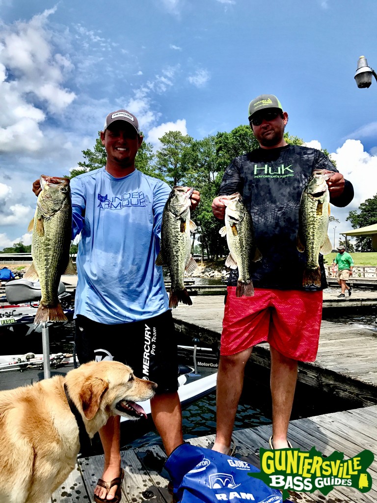 Guntersville Bass Fishing Guides