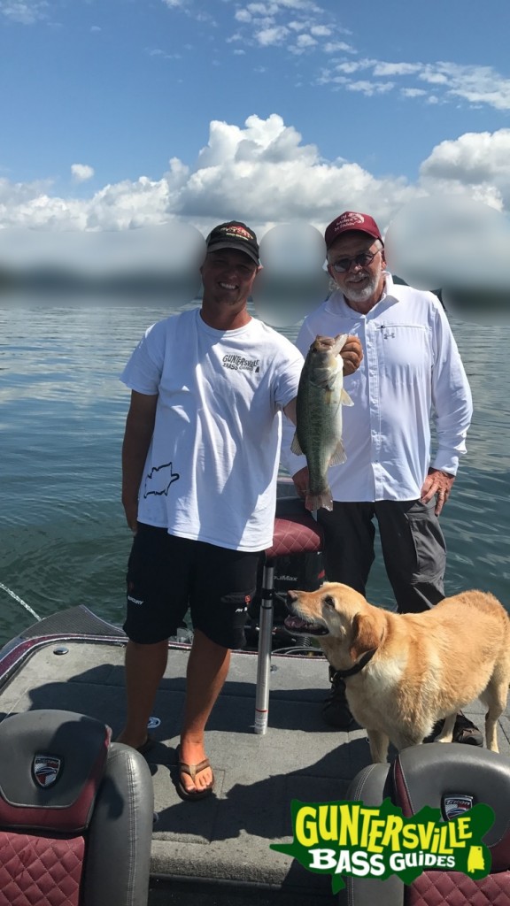 Guntersville Bass Guides