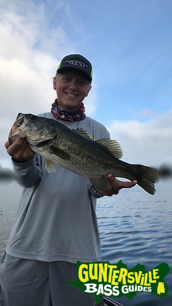 Guntersville Bass Fishing Guides