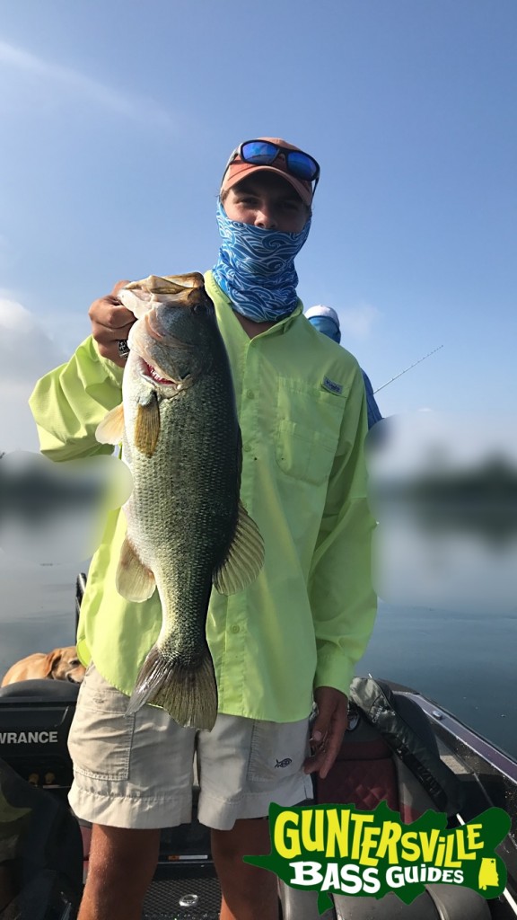 Guntersville Bass Fishing Guides