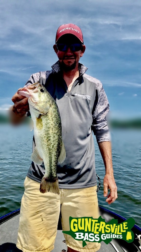 Guntersville Bass Fishing Guides