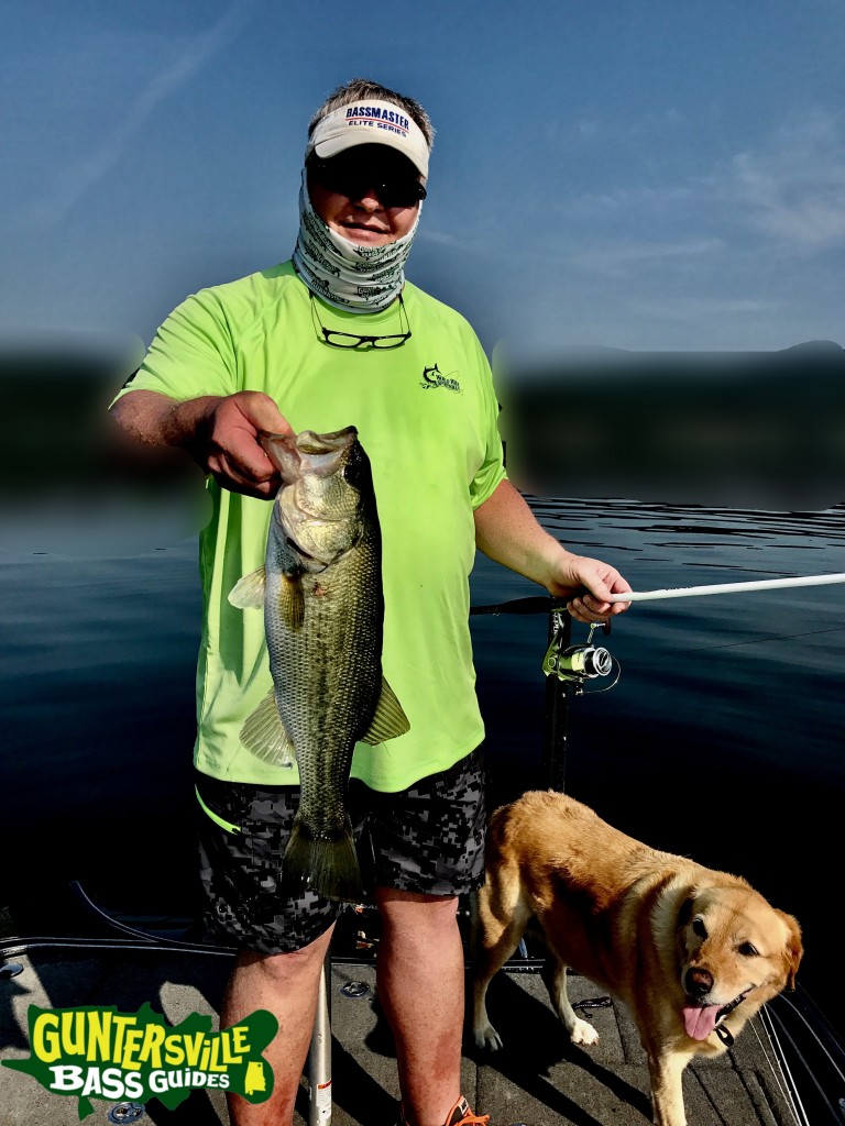 GUNTERSVILLE BASS FISHING GUIDES