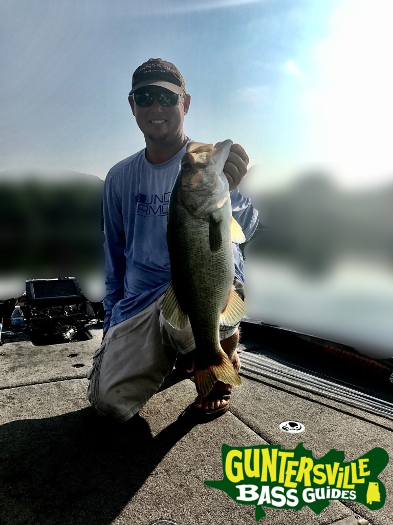 GUNTERSVILLE BASS FISHING GUIDES