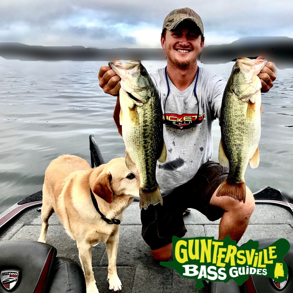 Guntersville Bass Guides