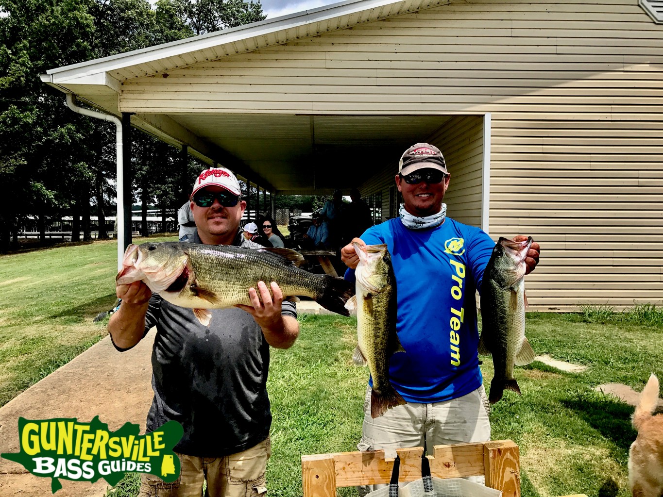 Guntersville Bass Guides