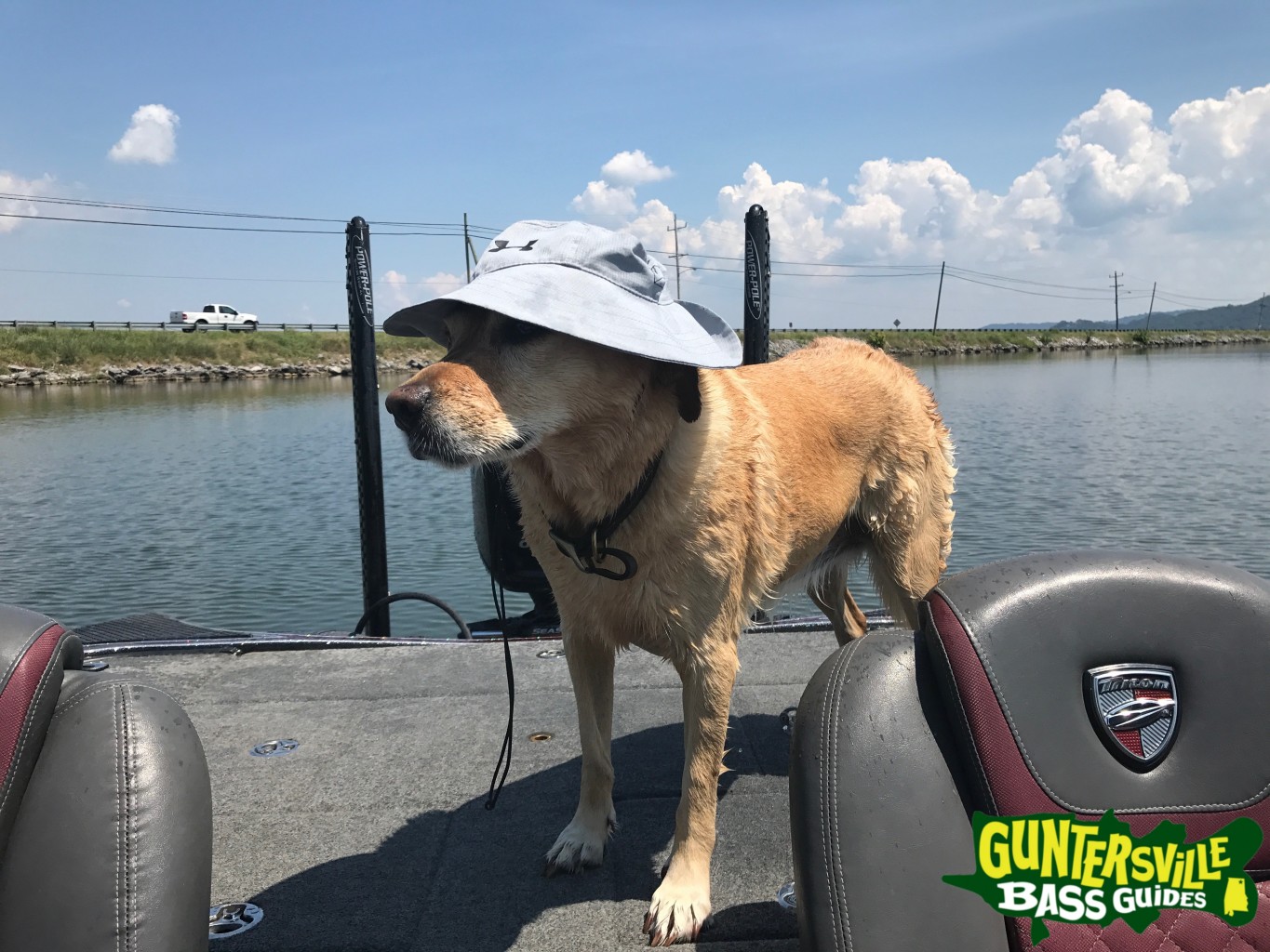 GUNTERSVILLE BASS GUIDES