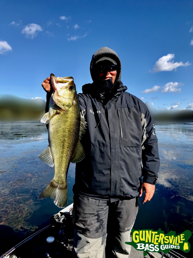 Guntersville Bass Guides
