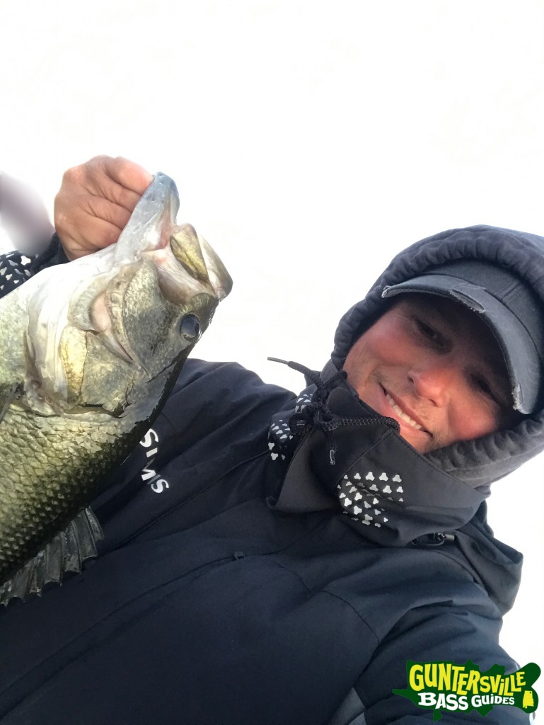 Guntersville Bass Guides
