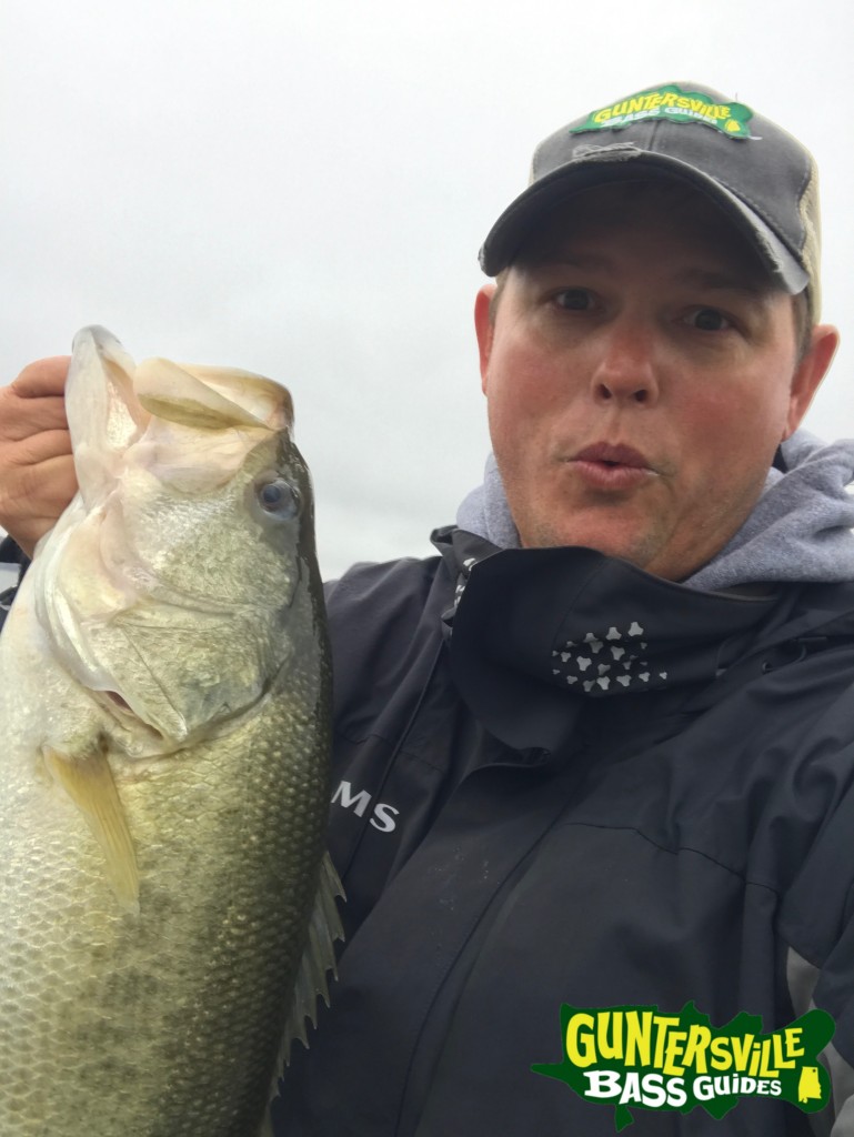 Guntersville Bass Guides