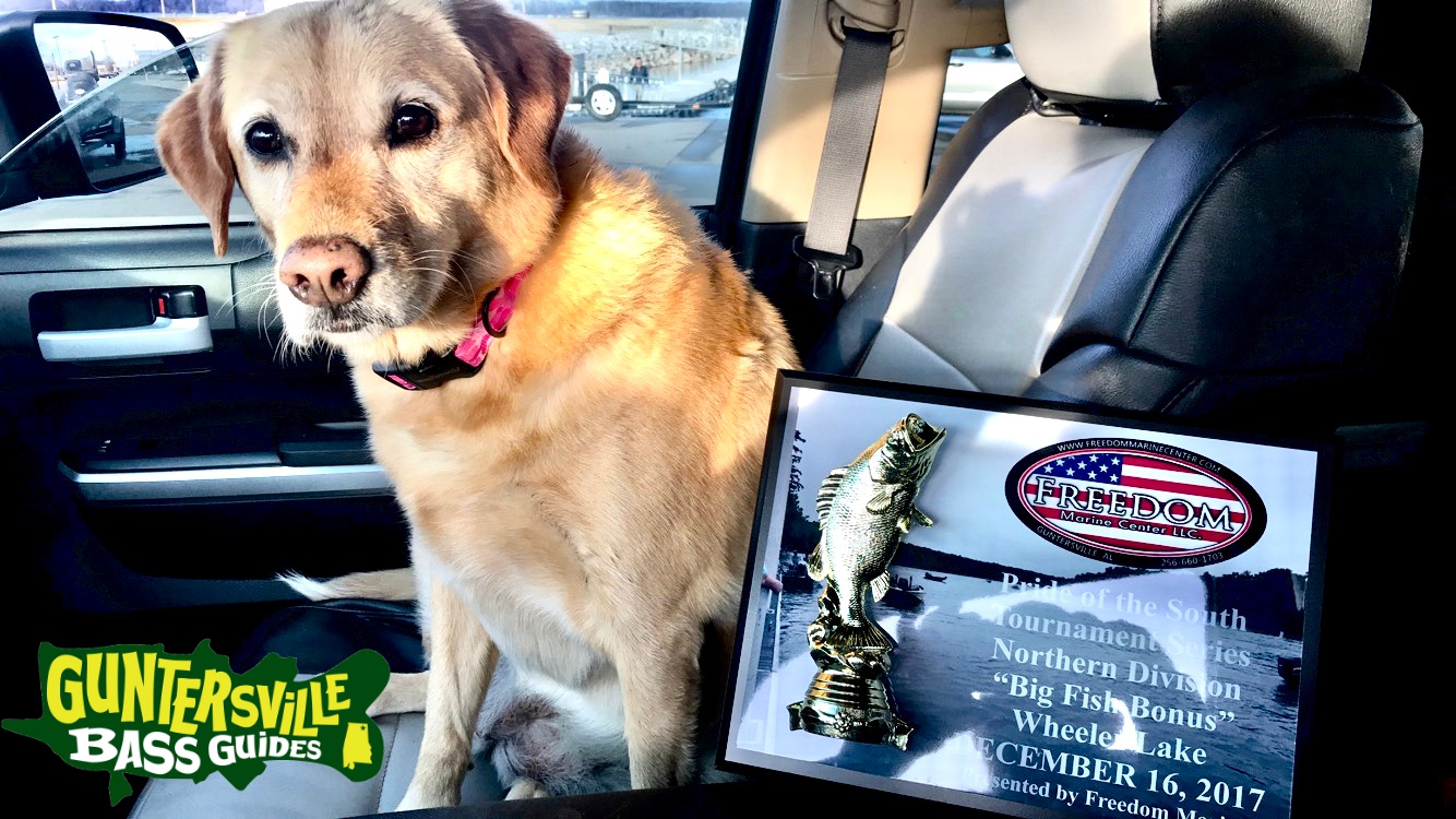 GUNTERSVILLE BASS GUIDES