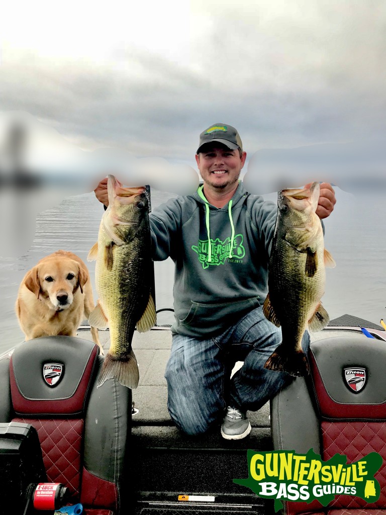 Guntersville Bass Guides