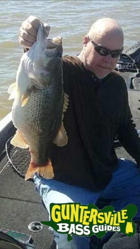 GUNTERSVILLE BASS GUIDES