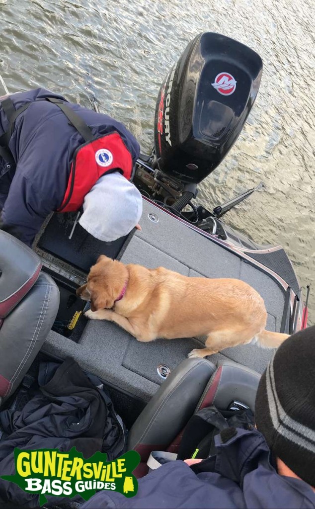 GUNTERSVILLE BASS GUIDES