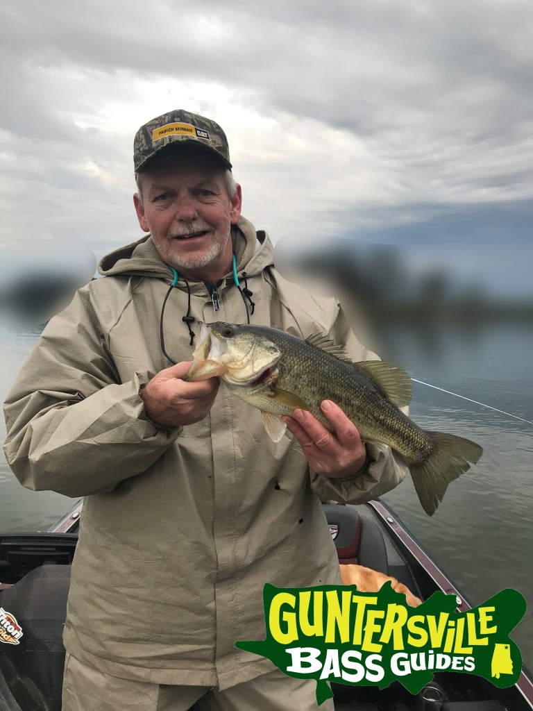 Guntersville Bass Guides