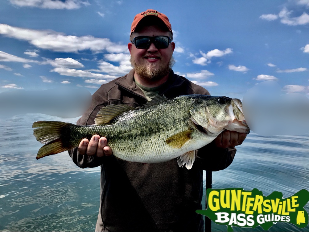 Guntersville Bass Guides
