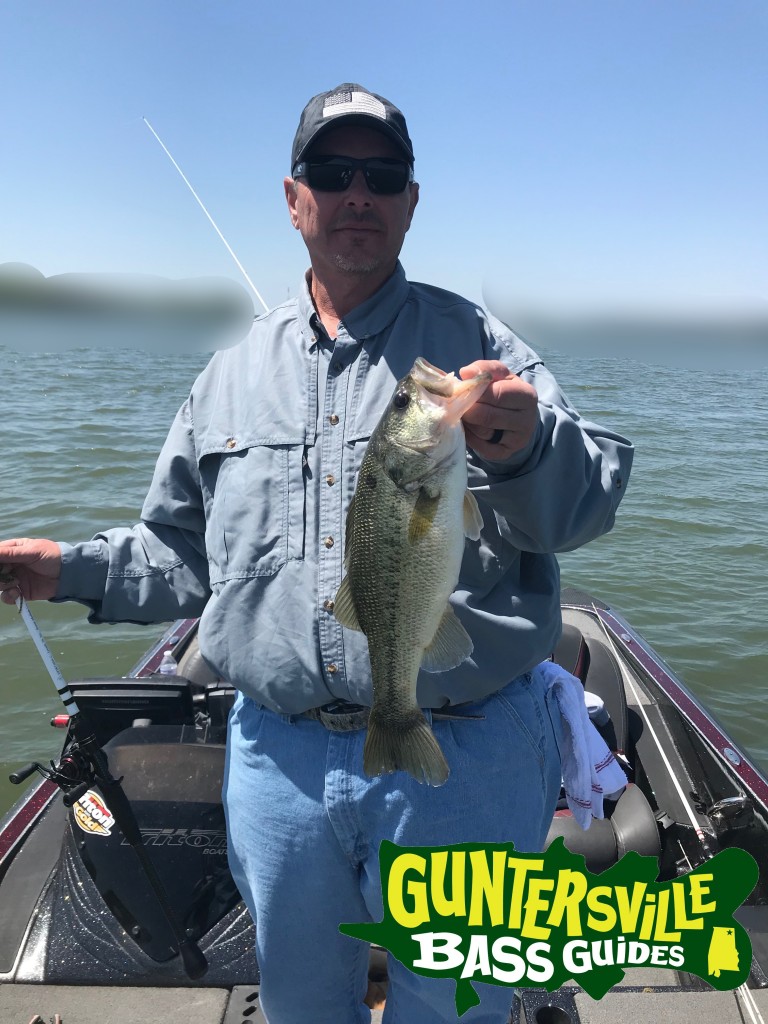 Guntersville Bass Guides