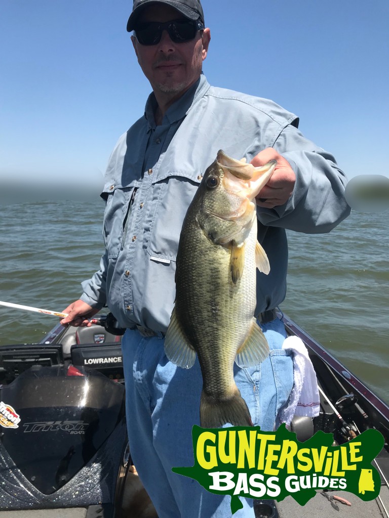 Guntersville Bass Guides