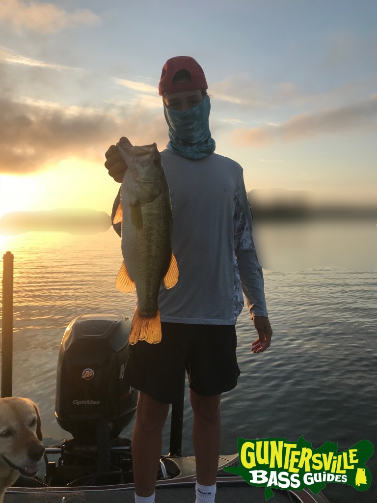 GUNTERSVILLE BASS GUIDES