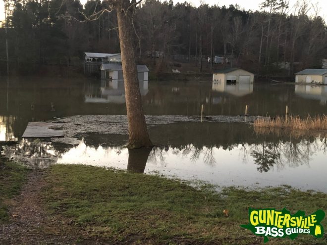 Guntersville Bass Guides