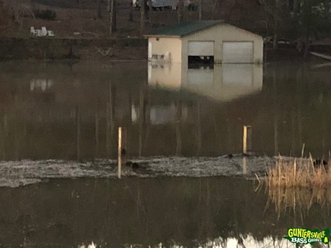 Guntersville Bass Guides