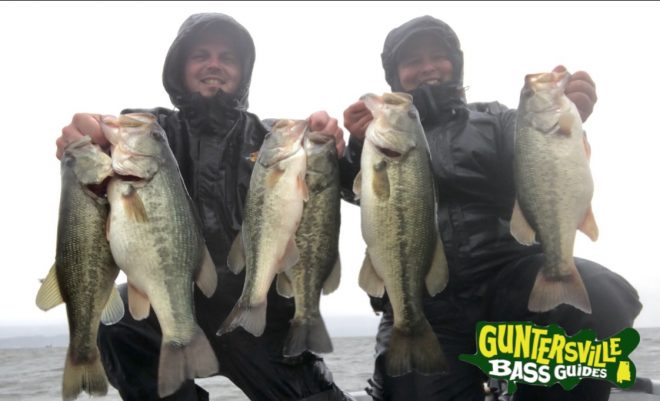 Guntersville Bass Guides