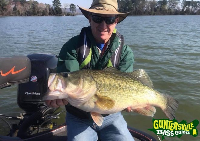 Guntersville Bass Guides
