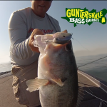 Guntersville Bass Guides