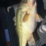 Guntersville Bass Guides