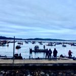 Guntersville Bass Guides
