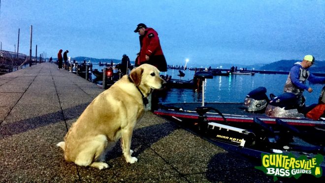 Guntersville Bass Guides