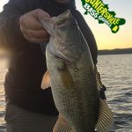 Guntersville Bass Guides