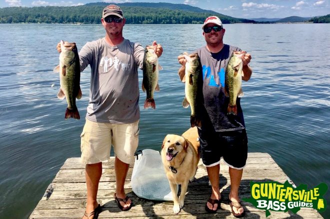 GUNTERSVILLE BASS GUIDES