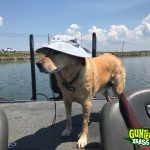 GUNTERSVILLE BASS GUIDES