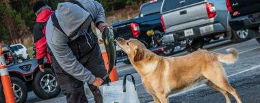 Guntersville Bass Guides